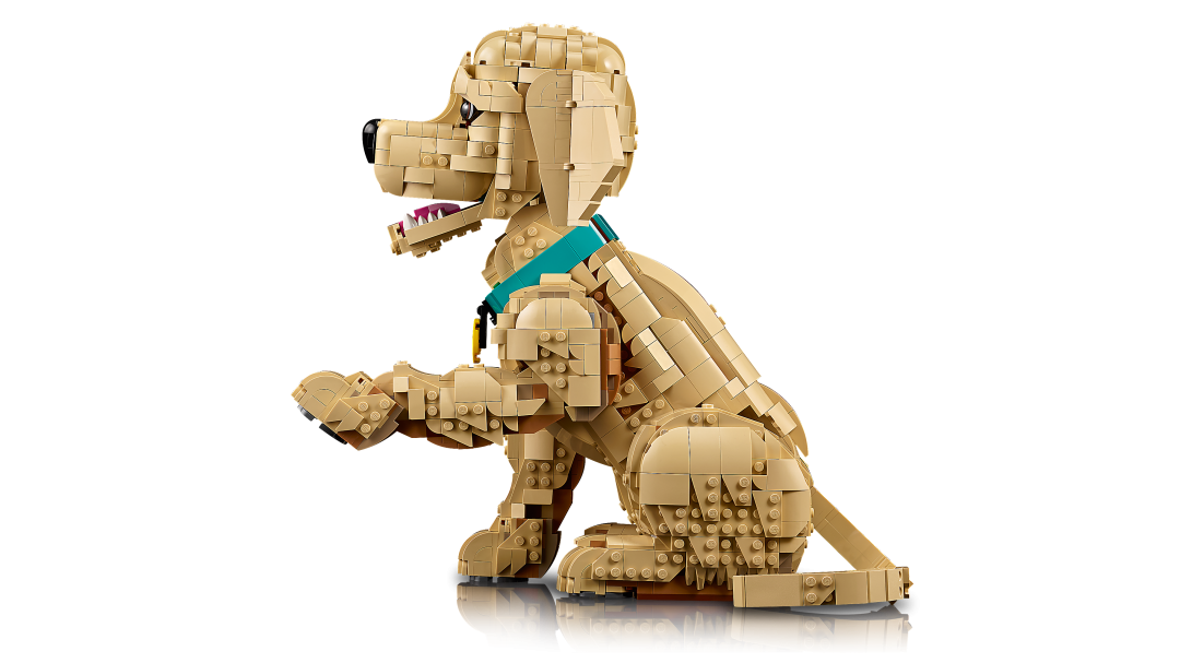 LEGO Icons Golden Retriever Puppy | 11384