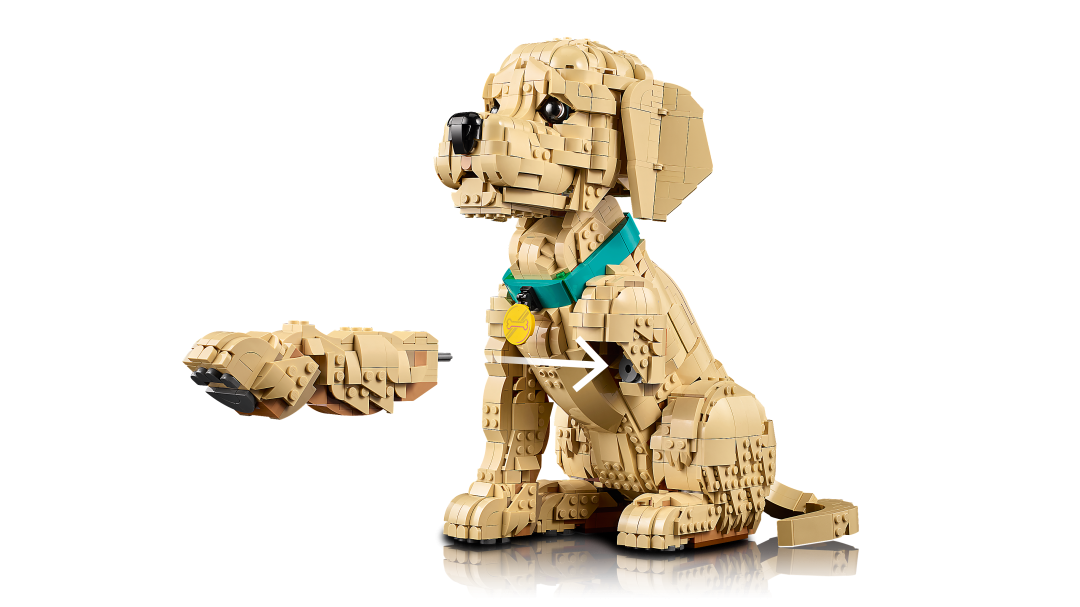 LEGO Icons Golden Retriever Puppy | 11384