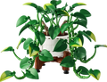 LEGO Botanicals Hanging Golden Pothos | 11512