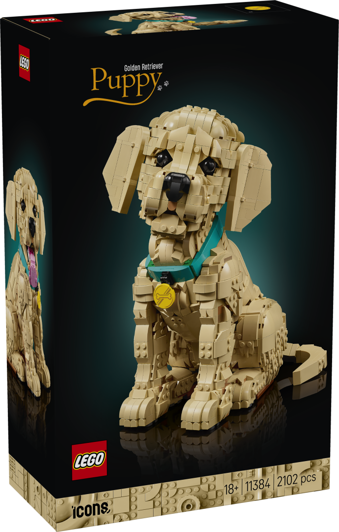 LEGO Icons Golden Retriever Puppy | 11384