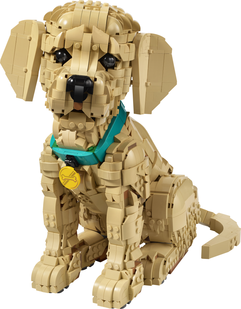 LEGO Icons Golden Retriever Puppy | 11384