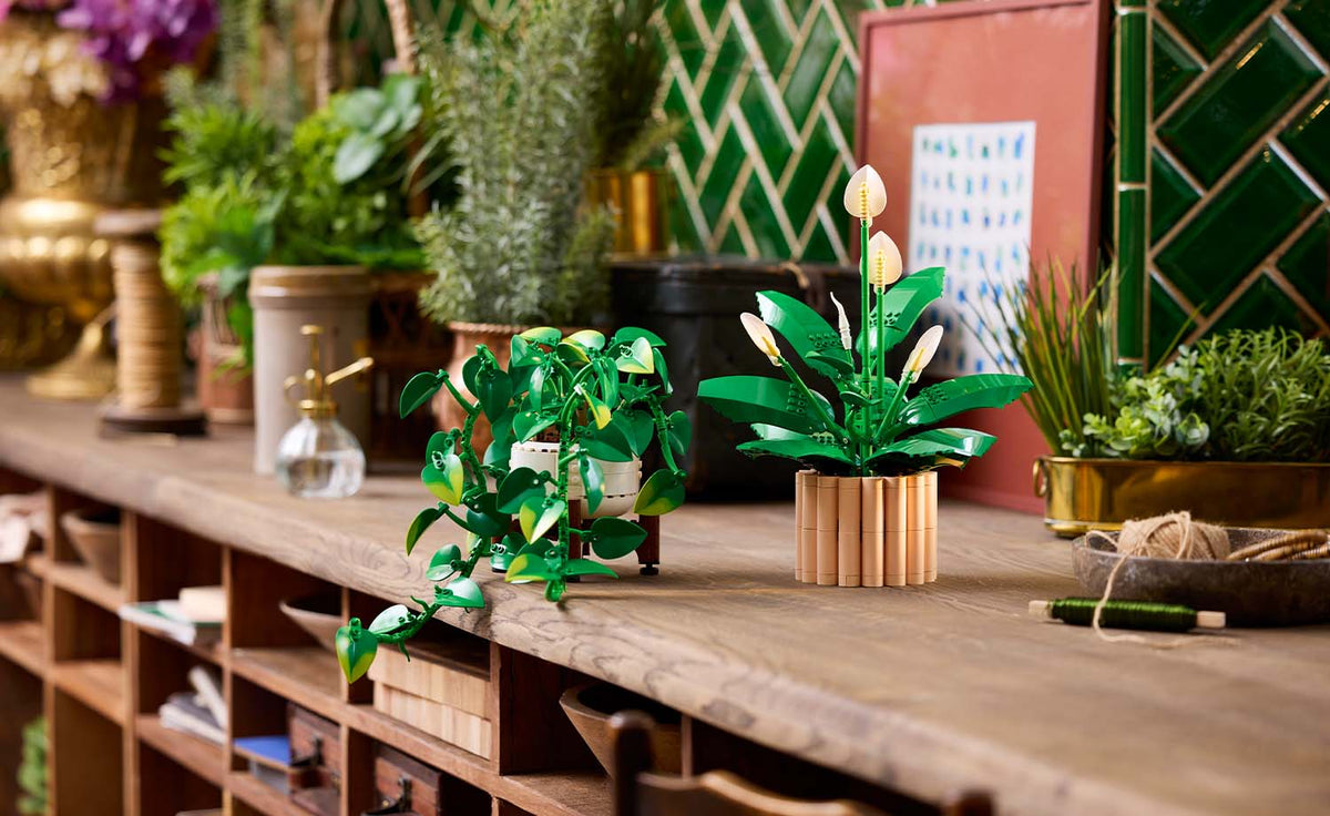 LEGO Botanicals Hanging Golden Pothos | 11512